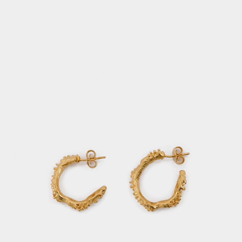 Lunar Rocks Hoops in Gold