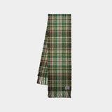 Volano Scarf - Acne Studios - Wool - Green