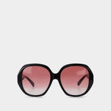 Sunglasses in Black/Red Acetate