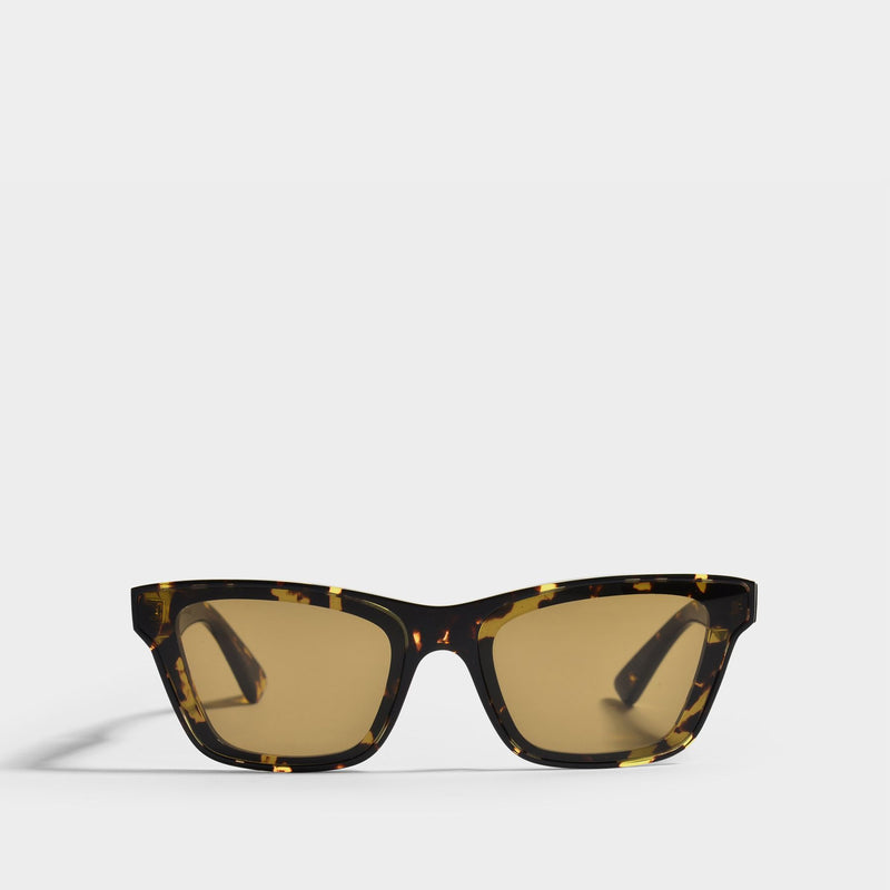 Sunglasses in Brown Acetate