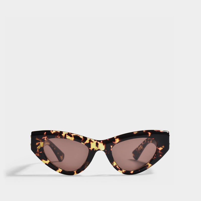 Sunglasses in Brown Acetate