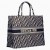 Dior Embroidered Book Tote In Oblique Canvas